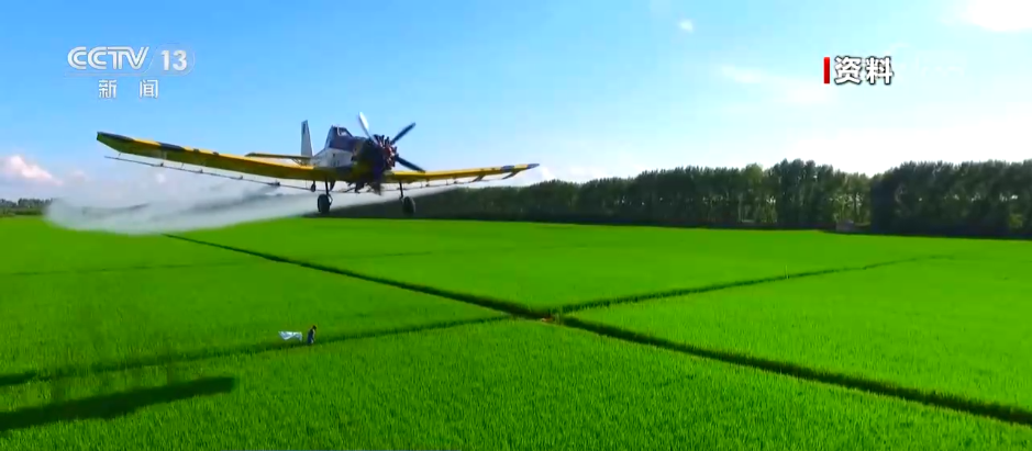 2025“三农”答卷卫星“看”庄稼、大数据“算”收成农业发展向“新”而行(图4)