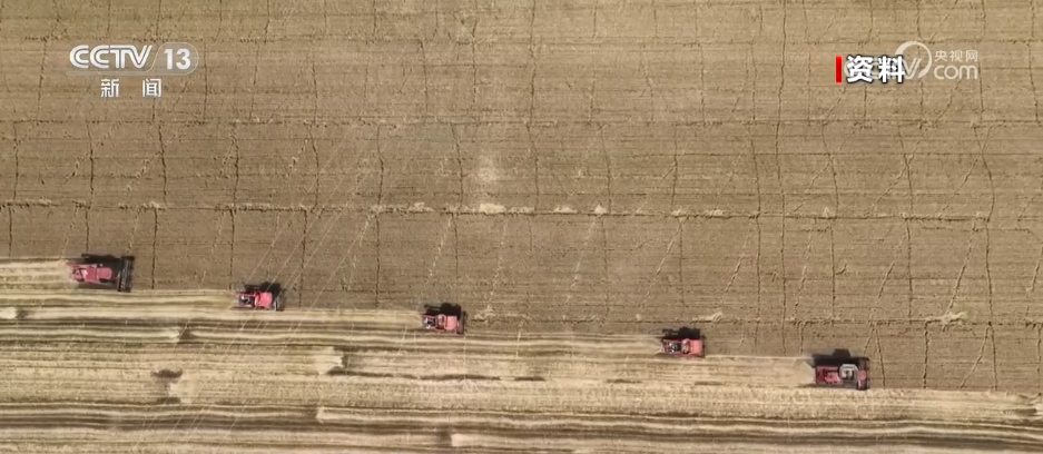 2025“三农”答卷卫星“看”庄稼、大数据“算”收成农业发展向“新”而行(图1)