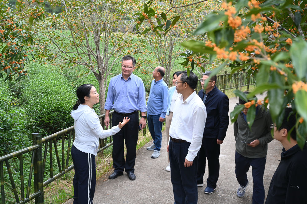 习近平总书记关切事·嘱托｜沃野兴农人的丰收密码(图6)