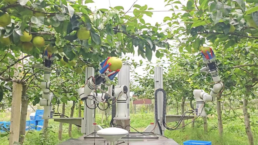 新春走基层|新农人守岁新农机巡田采摘!未来农业的春天来了(图3)