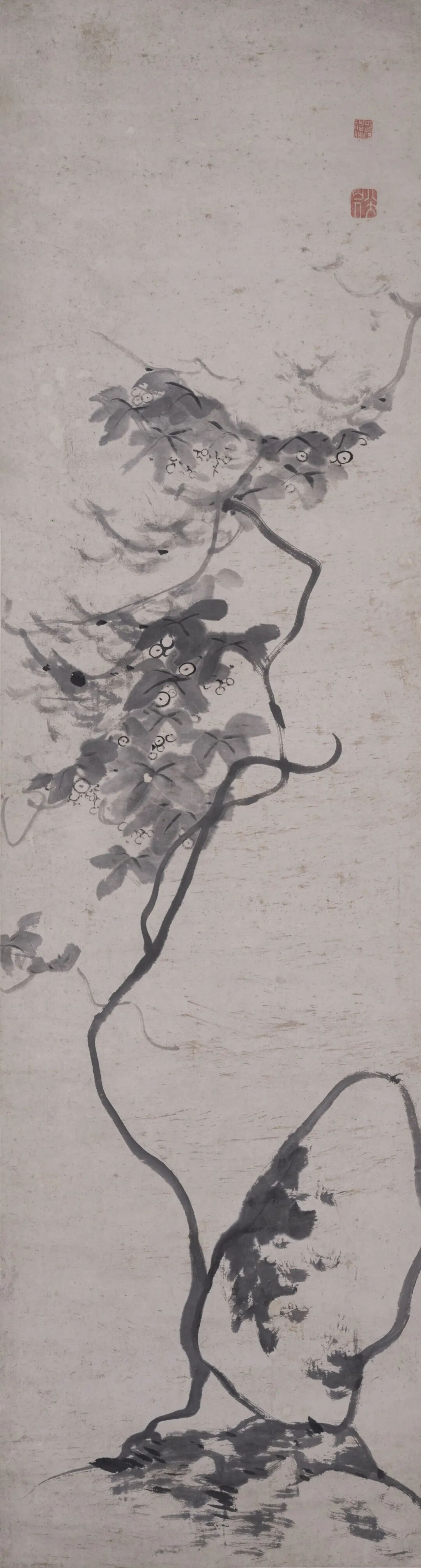 葡萄大石图 八大山人 中国画 183×49cm 清代 八大山人纪念馆藏