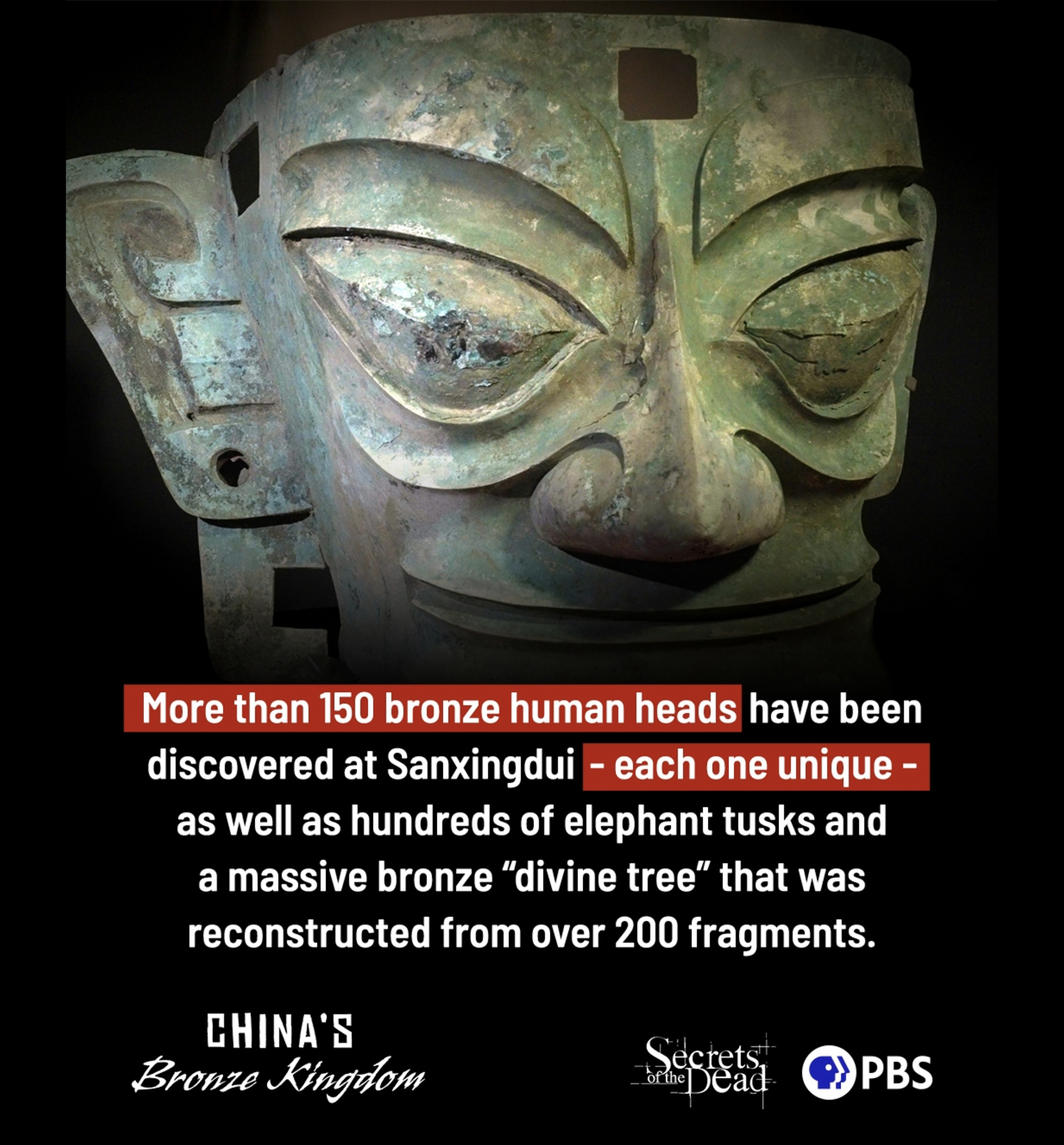 PBS《中国的青铜王国》海报