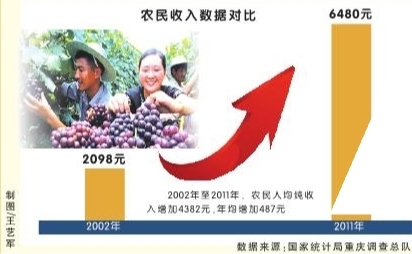 收入证明_重庆市农民收入现状(2)