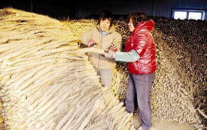 侯马市高村乡下平望村利华山药种植合作社