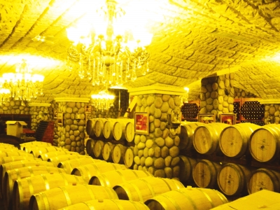 农业生态游圣鑫有亮点