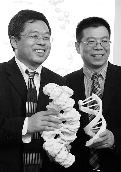 解开生命谜题的第二级密码_党建_共产党员网