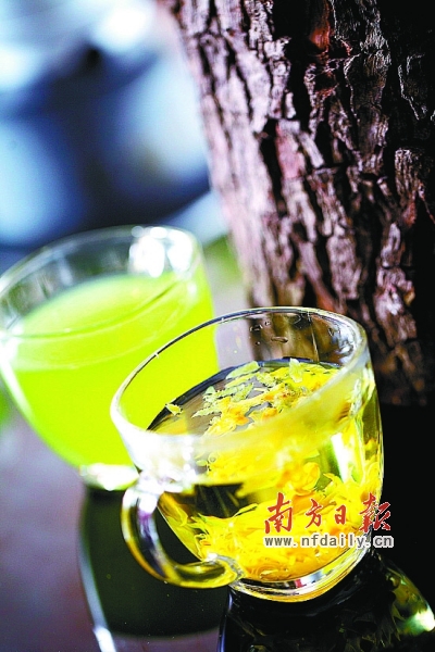 石斛的三种吃法