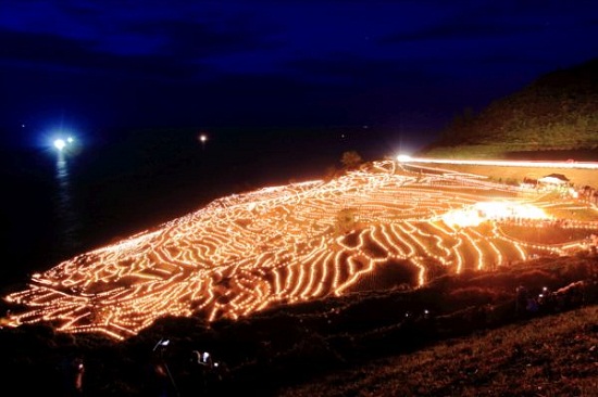 日本稻田用两万盏LED灯装饰 色彩绚丽如梦似
