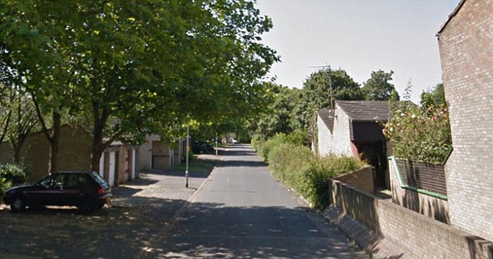 分娩孕妇在家中被一伙蒙面匪徒用棒球棍和刀袭