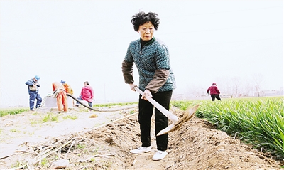 华夏大地春耕忙