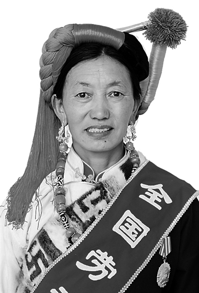 西藏自治区2015年全国劳动模范和先进工作者