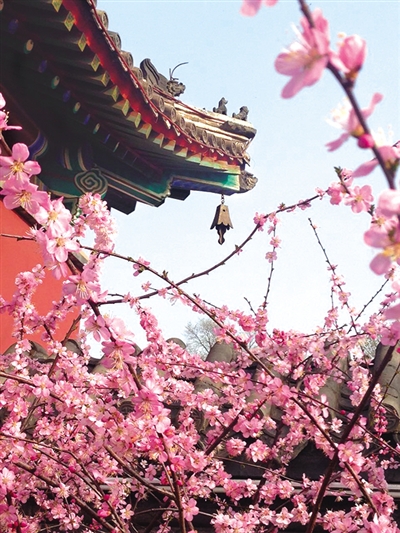 承德 离宫初雨后 花气满天阶