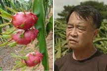 People from ASEAN countries weaving dreams in Chinese lands