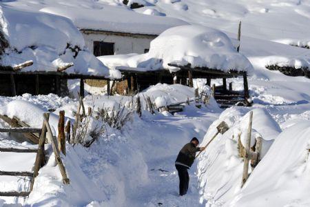 A man cleans snow in front of his house in Keketuohai Town of northwest China's Xinjiang Uygur Autonomous Region, Jan. 10, 2010. Keketuohai, the second coldest places in China, witnessed heavy snowfalls on Jan. 6-8, where the lowest temperature was nearly 40 degrees Celsius below zero. (Xinhua/Shen Qiao)