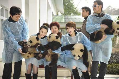 Among the leading cast members are several unique performers, capturing the bulk of attention. They're a bunch of baby pandas.