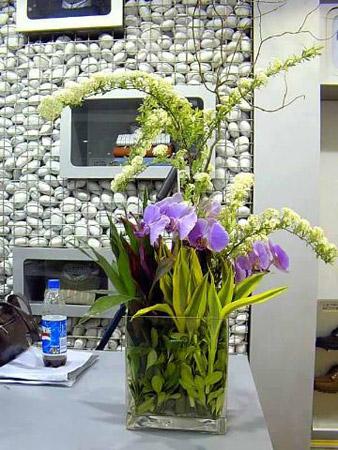 Winter&nbsp;is&nbsp;a&nbsp;perfect&nbsp;time&nbsp;to&nbsp;think&nbsp;springy&nbsp;thoughts&nbsp;like&nbsp;flowers.&nbsp;For&nbsp;centuries,&nbsp;people&nbsp;have&nbsp;picked&nbsp;flowers&nbsp;to&nbsp;decorate&nbsp;their&nbsp;homes.