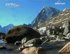 النيبال تحذر من أثار تغير المناخ على جبال الهيمالايا