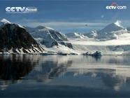 В Антарктике из-за глобального потепления ускорилось таяние ледников