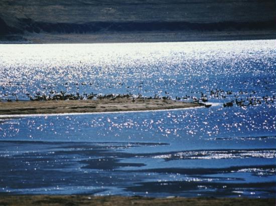 The Tibet Autonomous Region boasts the largest wetland system in China, which supports the life cycle of the prairies. Wetland preservation has become a very important part of the region's environmental protection drive.