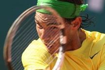 Ferrer, Nadal to meet in final