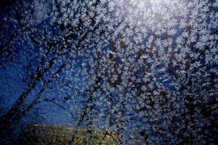 Trees are seen through the glass covered with ice crystals in Moscow, capital of Russia, Dec. 18, 2009. Commuters and air passengers faced delays and disruption across many countries of Europe on Friday, after heavy snowfall with the forecaster saying more was on the way.(Xinhua/Lu Jinbo)