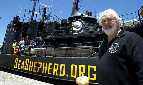 Captain Paul Watson, of the Sea Shepherd Conservation Society (File photo)