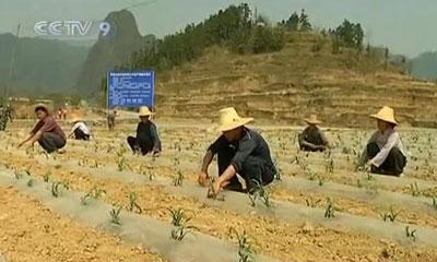In&nbsp;this&nbsp;region&nbsp;alone,&nbsp;two&nbsp;million&nbsp;people&nbsp;and&nbsp;hundreds&nbsp;of&nbsp;cattle&nbsp;are&nbsp;without&nbsp;enough&nbsp;drinking&nbsp;water.&nbsp;Agricultural&nbsp;production&nbsp;has&nbsp;almost&nbsp;come&nbsp;to&nbsp;a&nbsp;halt.&nbsp;(CCTV.com)