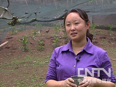 CCTV7<em>致富</em>经视频:吴艳,野鸡养殖,胆小<em>女人</em>照