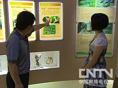 致富经创业项目农村_致富项目商机_致富经=