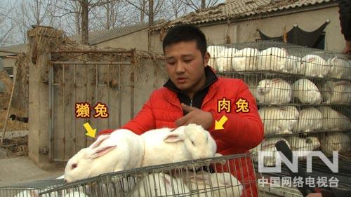 [致富经]武术冠军拼出兔财富(20130325)