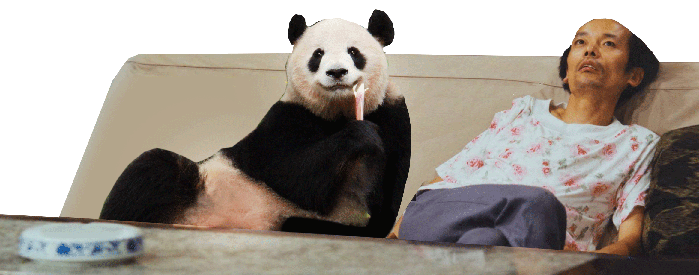 熊猫给你一百个北京瘫的理由