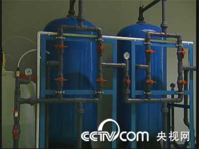 梅花香自苦寒来