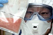 ����H1N1����ȫ������