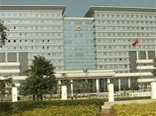 建設服務型政府
