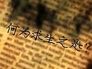 一本神秘的日记 不可告知的预言
