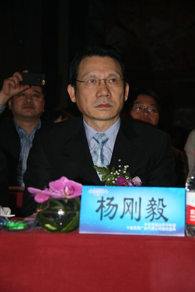 中央电视台中文国际频道总监 杨刚毅 先生