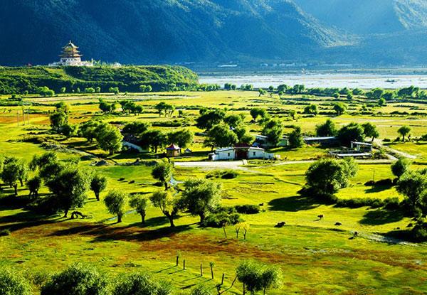 旅游台首页    ■出游贴士   美食:伊春多山珍野味,包括鹿肉,狍子肉