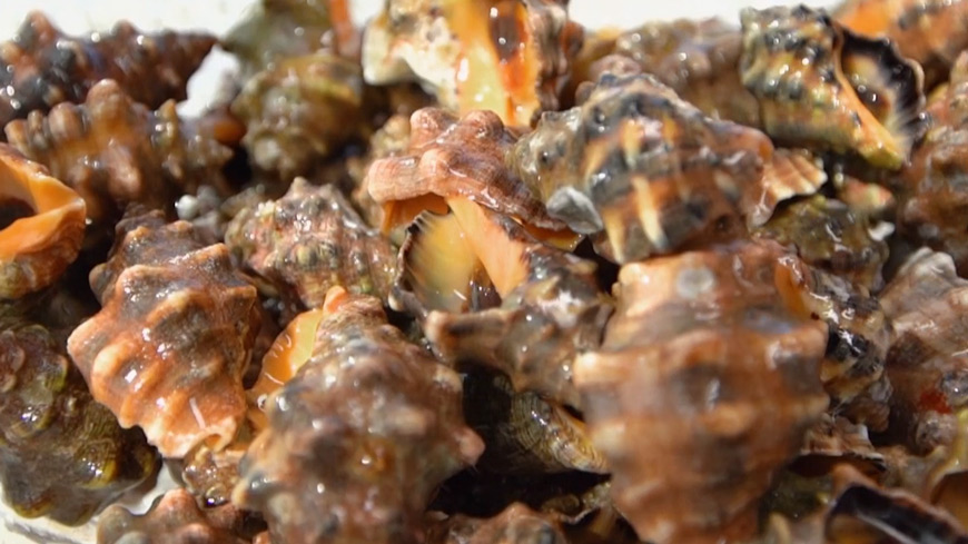 辣螺:热辣鲜香 回味无穷