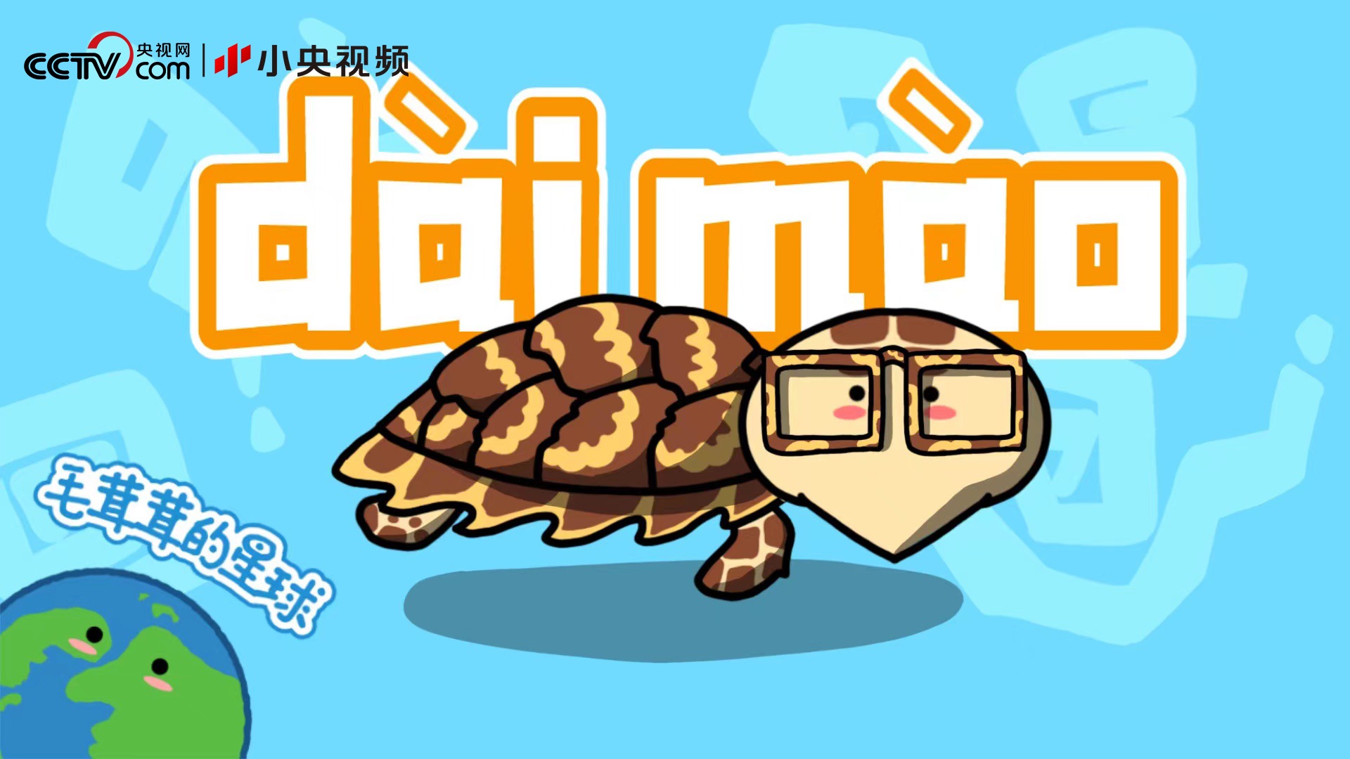 奇怪的知识增多了！玳瑁和海龟到底有啥区别？