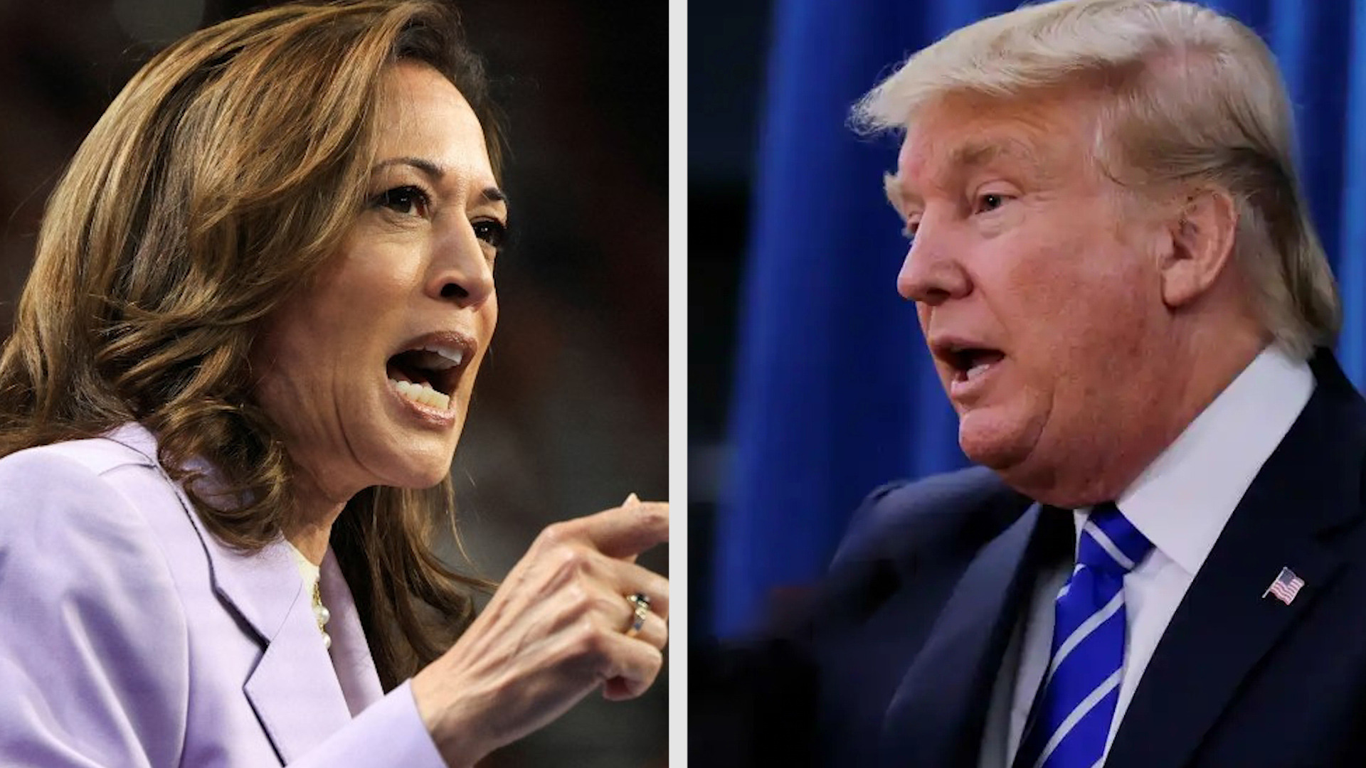 140秒看懂！美国总统选举怎么选？结果何时揭晓？