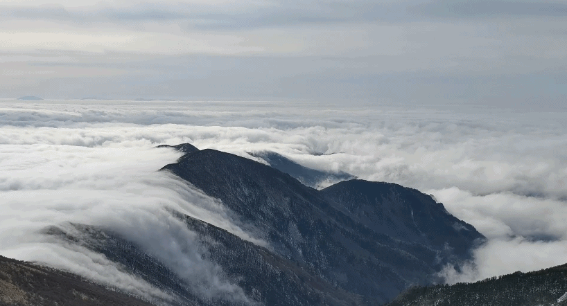 山云相融美如画!秦岭山脉最高峰云海翻卷 - 封面新闻
