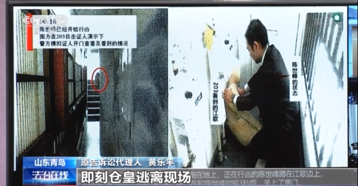 法治在线丨江歌母亲诉刘鑫案庭审纪实