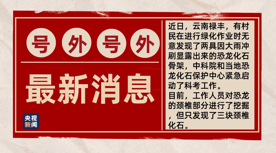 獨家揭秘！修復現(xiàn)場化石“開口說話”：原來恐龍也會得“頸椎病”！