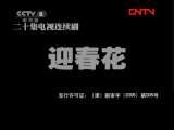 迎春花 20集