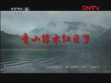 青山绿水红日子 2集