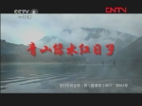 青山绿水红日子 6集