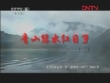 青山绿水红日子 13集