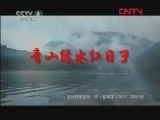 青山绿水红日子 14集
