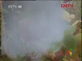 神奇山谷 79集