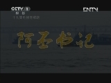 阿丕书记 16集